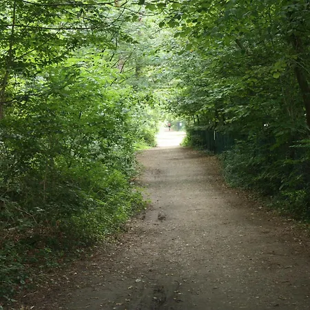 Zur Waldfee