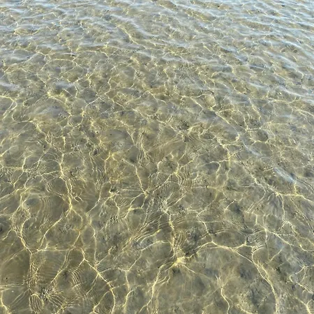 Apartamento Zur Waldfee Cuxhaven